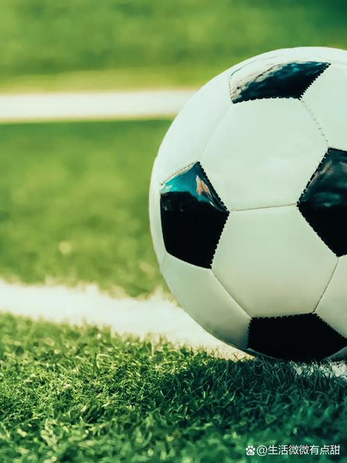 资深球迷使用场景